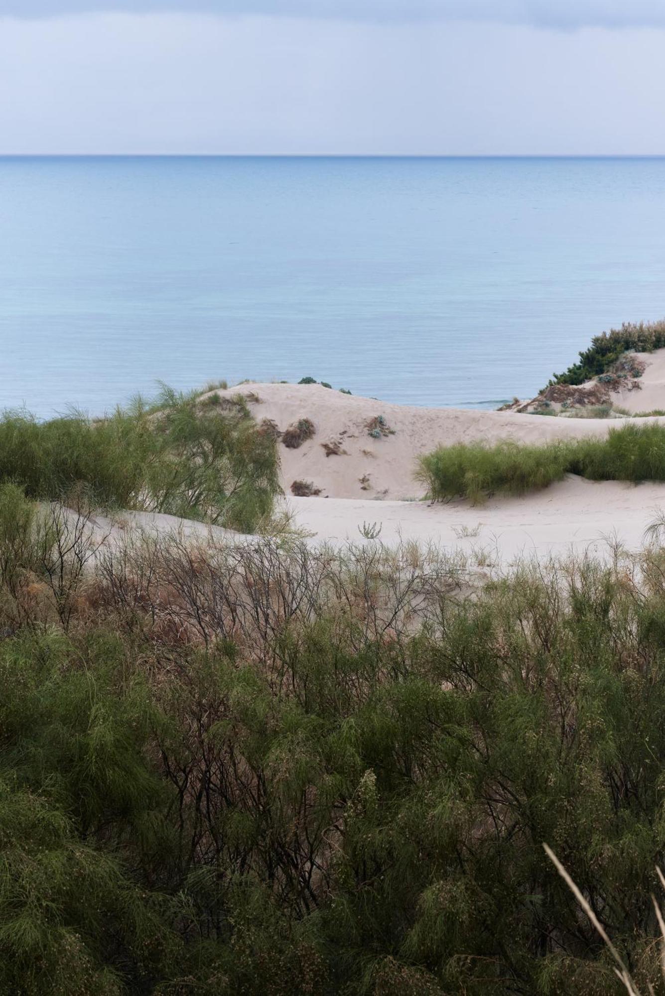 Taiga Tarifa Punta Paloma Exterior foto
